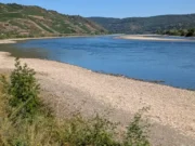Niedrigwasser Mittelrhein