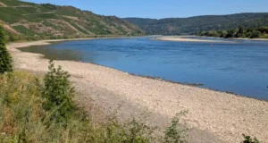 Niedrigwasser Mittelrhein