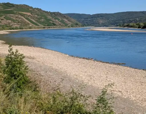 Niedrigwasser Mittelrhein