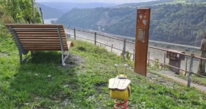 Wellenbank und Federwipptier