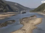 Extremes Niedrigwasser gefährtet die Schifffahrt auf dem Rhein