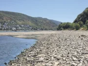 Niedrigwasser - Mittelrhein