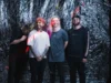 Band Lifespark