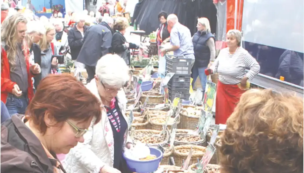 Bopparder Zwiebelmarkt - 2025 Bopparder Zwiebelmarkt - 2025