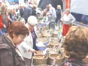Der Zwiebelmarkt ist ein „Stück Boppard“ Bopparder Zwiebelmarkt - 2025