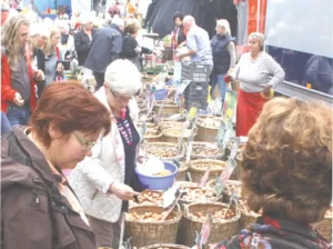 Bopparder Zwiebelmarkt - 2025