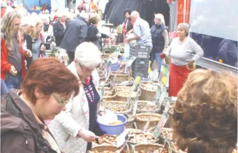 Der Zwiebelmarkt ist ein „Stück Boppard“ Bopparder Zwiebelmarkt - 2025