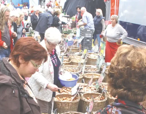 Der Zwiebelmarkt ist ein „Stück Boppard“ Bopparder Zwiebelmarkt - 2025