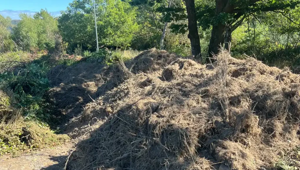 Illegale Ablagerungen - Strauchschnittplatz in Weiler Illegale Ablagerungen - Strauchschnittplatz in Weiler