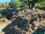 Strauchschnittplatz in Weiler gesperrt Illegale Ablagerungen - Strauchschnittplatz in Weiler