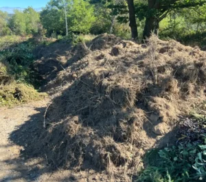 Illegale Ablagerungen - Strauchschnittplatz in Weiler