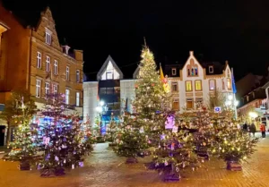 Bopparder Winterwald