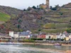 Fähren Mittelrhein