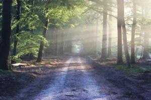November - Trauer und Totengedenken