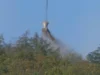 ‚Luise‘ und ‚Manja‘ richteten nur geringe Schäden an Waldkalkung per Hubschrauber in Boppard