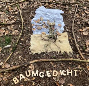 Arbeitsgemeinschaft Wald des Rhein-Hunsrück-Kreises zu Gast in Oppenhausen