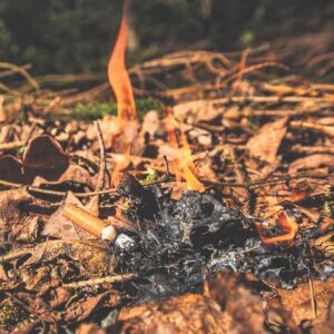 Waldbrände werden nicht vermeidbar sein